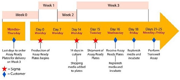 Workflow of Caco-2 plates for North America delivery. Workflow of Caco-2 plates for North America delivery.