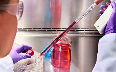 Animal Component Free Cell Culture Reagents Animal Component Free Cell Culture Reagents