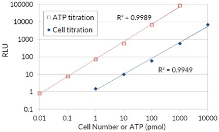 ATP cell viability assay. Firefly luciferase’s use of ATP to oxidize D-Luciferin and the resulting production of light in order to assess the amount of ATP available that correlates to cell number and viability. ATP cell viability assay. Firefly luciferase’s use of ATP to oxidize D-Luciferin and the resulting production of light in order to assess the amount of ATP available that correlates to cell number and viability.
