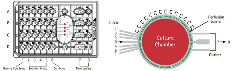 CellASIC® ONIX switching plate for mammalian cells design. CellASIC® ONIX switching plate for mammalian cells design.
