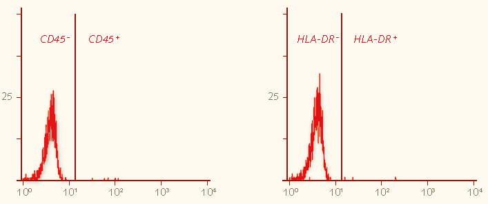 Histograms of CD73, CD90 and CD105 positive expression and CD14, CD19, CD45, and HLA-DR negative expression. Flow cytometry analysis
