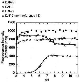 Fluorescence Intensity Graph Fluorescence Intensity Graph