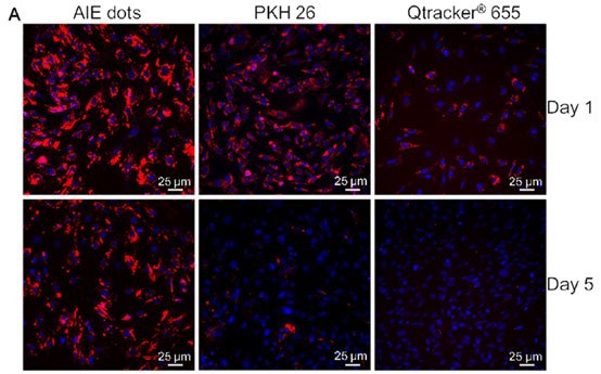 In Vitro Stem Cell Tracking with LuminiCell Trackers™ In Vitro Stem Cell Tracking with LuminiCell Trackers™