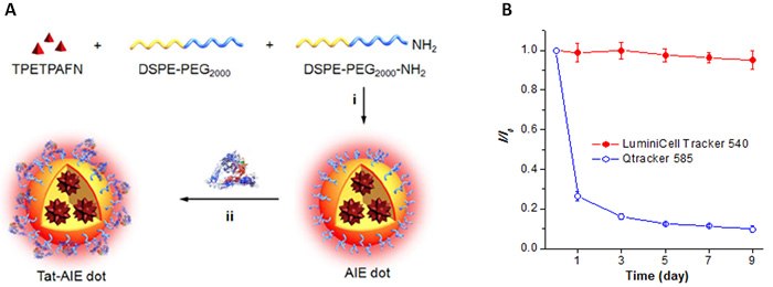 Physical characteristics of LuminiCell Tracker fluorescent nanoparticles Physical characteristics of LuminiCell Tracker fluorescent nanoparticles