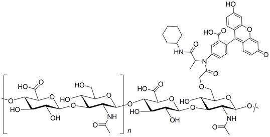 structure-8 Fluorescein Hyaluronic Acid Structure