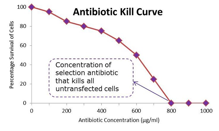 Mock Antibiotic Kill Curve Mock Antibiotic Kill Curve