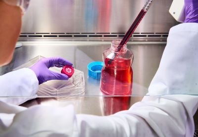 Lab setting with a person in a white coat and gloved hands using a pipette to transfer red liquid into a cell culture flask inside a safety containment area Lab setting with a person in a white coat and gloved hands using a pipette to transfer red liquid into a cell culture flask inside a safety containment area