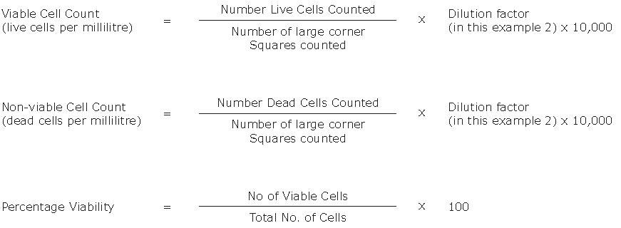 Cell counting 1 Cell counting