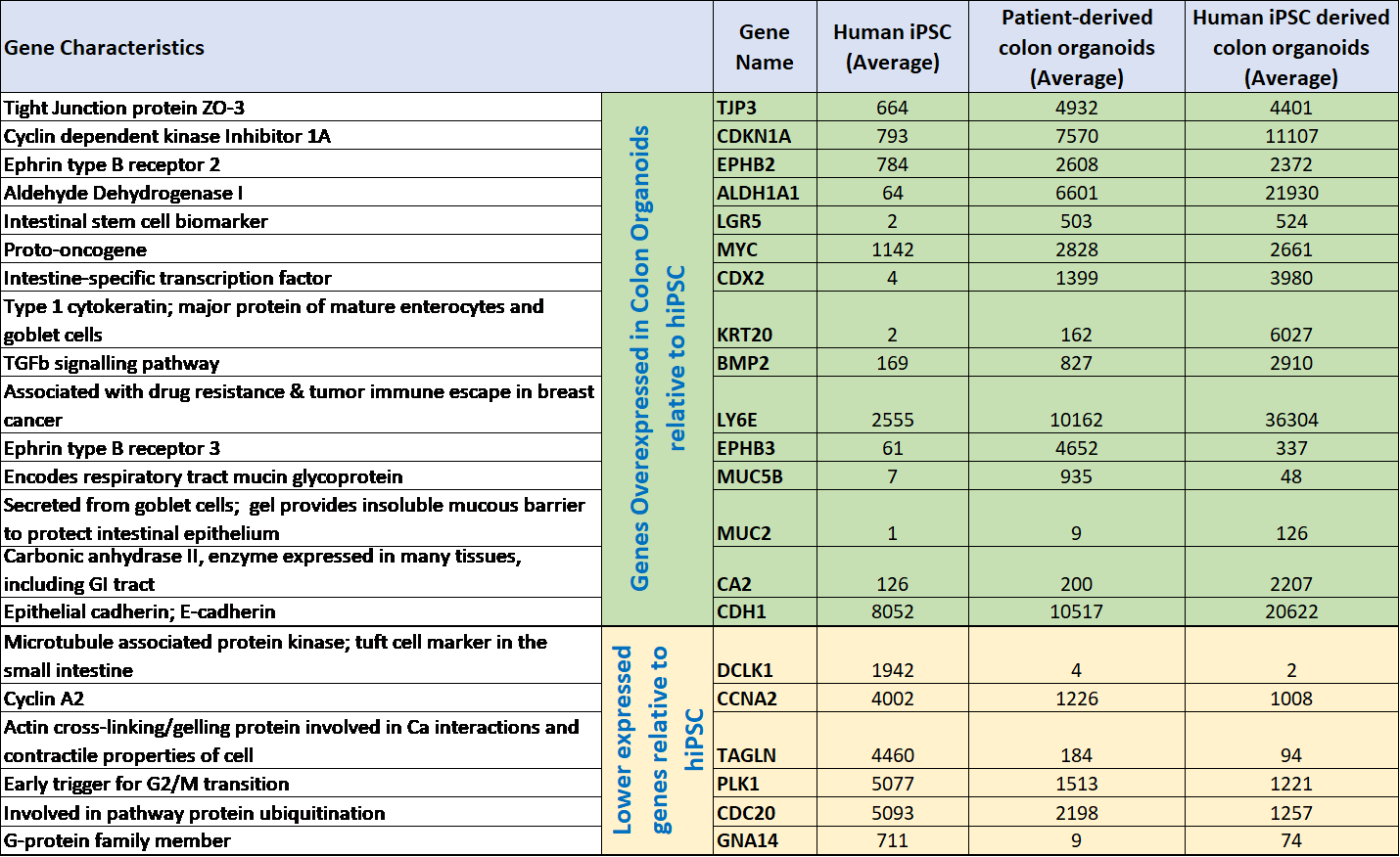 Gene expression differences of human iPSCs, iPSC derived colon organoids vs. adult patient derived tissue organoids. Gene expression differences of human iPSCs, iPSC derived colon organoids vs. adult patient derived tissue organoids.
