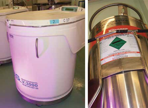 Common liquid nitrogen storage tanks used for cell cryopreservation Common liquid nitrogen storage tanks used for cell cryopreservation
