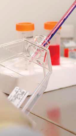 Avoidance of Microbial Contamination Avoidance of Microbial Contamination