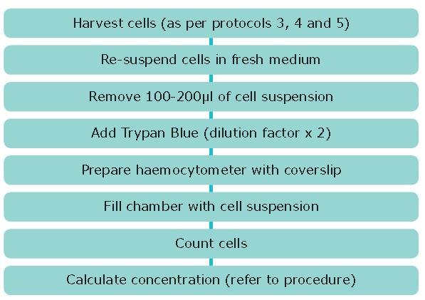 Cell Culture Protocol 6: Cell Counting Using a Hemocytometer Cell Culture Protocol 6: Cell Counting Using a Hemocytometer