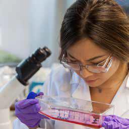 Reagents and Materials Reagents and Materials