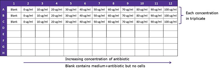 Schematic guide – selection antibiotic concentration. Schematic guide – selection antibiotic concentration.