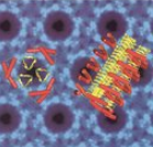 Safer serum for cell culture comes from countries and regions at low risk for bovine spongiform encephalopathy (BSE) prion transmission Safer serum for cell culture comes from countries and regions at low risk for bovine spongiform encephalopathy (BSE) prion transmission