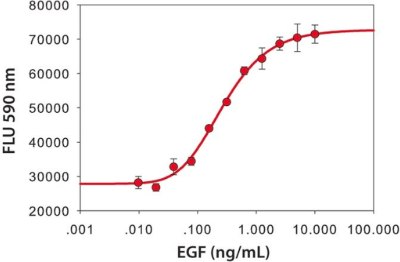 The biological activity was measured by the ability of E5036 to stimulate the mouse fibroblast cell line BALB/3T3. Fluorescence graph of mouse fibroblasts when EGF is added to the media. The Y axis shows FLU 590 nm from 20000 to 80000 in intervals of 10000; the X axis is EGF concentration from 0.001ng/ml to 100 ng/ml. The trend line is a S shaped curve.