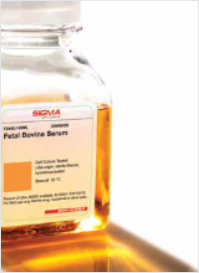 FBS (fetal bovine serum) free of adventitious viral agents  FBS (fetal bovine serum) free of adventitious viral agents