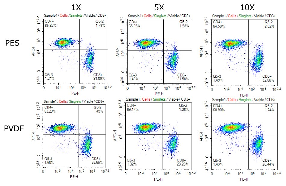Consistent CD4+/CD8+ phenotype of T cells cultured in media filtered 1X, 5X, or 10X using Stericup<sup>®</sup> Quick Release PES and PVDF filtration systems. Flow cytometry data showing consistent CD4+/CD8+ T cell phenotype when cultured in media filtered once, 5x, and 10x using Stericup® polyethersulfone (PES; top row) or PVDF (bottom row) membranes.