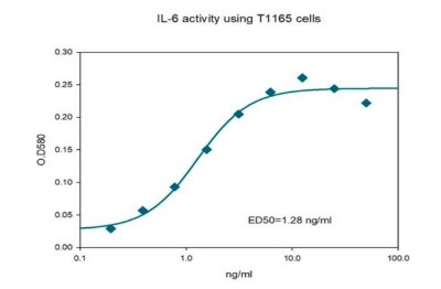 The biological activity of SRP3096 was tested in culture by measuring its ability to stimulate the proliferation of IL-6- dependent T1165 cells. The EC<sub>50</sub> is defined as the effective concentration that elicits a 50% increase in cell growth. Proliferation graph of T1165 cells when IL-6 is added. The Y axis shows optical density at 580 nm from 0 to 0.3 in intervals of 0.05; the X axis is IL-6  concentration from 0.1ng/ml to 100 ng/ml. The trend line is a S shaped curve.