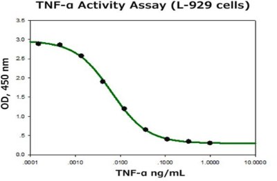 The biological activity of H8916 was tested in culture by measuring its ability to stimulate cytotoxicity of the TNF-α sensitive cell line L-929 in the presence of actinomycin D. The EC<sub>50</sub> is defined as the effective concentration of TNF-α that elicits a 50% decrease in cell growth in a cell-based bioassay. Percent cytotoxicity graph of mouse fibroblasts when TNF alpha is added in the presence of actinomycin D. The Y axis shows optical density at 450 nm from 0 to 3.5 in intervals of 0.5; the X axis is TNF alpha  concentration from 0.001ng/ml to 10 ng/ml. The trend line is a backwards S shaped curve.