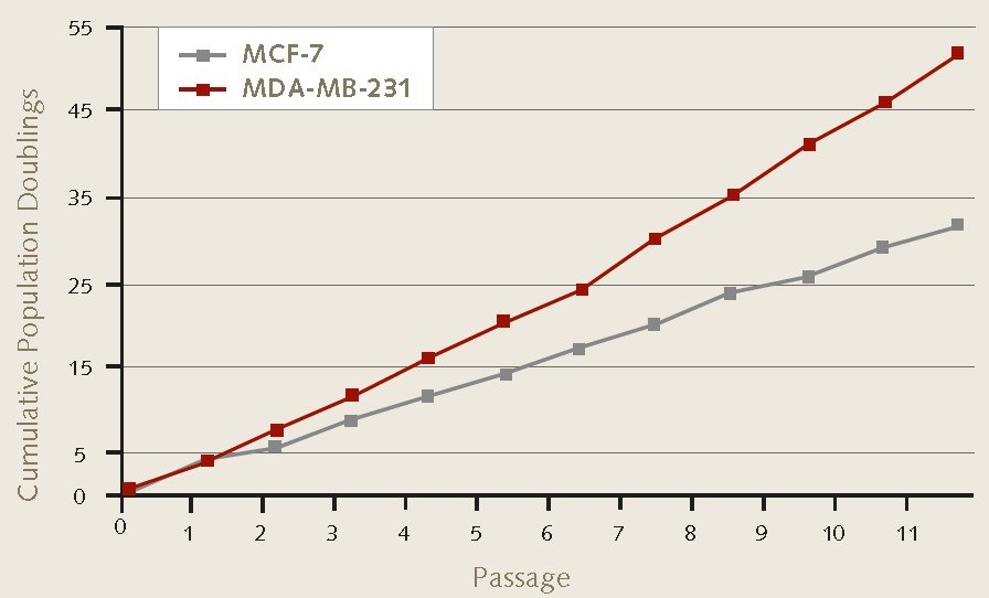 4X104 MCF-7 (<a href="/product/sigma/cb_86012803">86012803</a>) or MDA-MB-231 (<a href="/product/sigma/cb_92020424">92020424</a>) cells/well were plated in triplicate using 6-well ULA suspension plates. Serial passage by enzymatic dissociation was performed according to protocol. Mammosphere formation and cell proliferation were maintained during 3D culture over 11 passages.    Cell proliferation rates of MCF-7 and MDA-MB-231 breast cancer cells during 3D mammosphere culture.