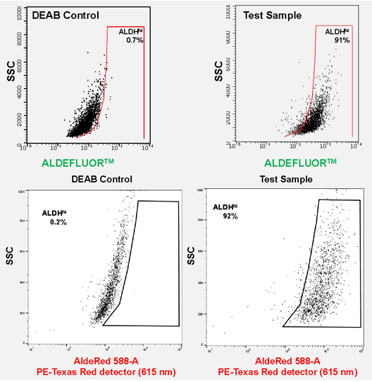 ALDEFLUOR™ and AldeRed™ identify similar CSC populations ALDEFLUOR™ and AldeRed™ identify similar CSC populations