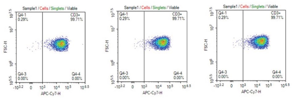 Consistent CD3+ phenotype of T cells cultured in cell culture media filtered 1X, 5X, or 10X using Stericup® Quick Release PVDF filters