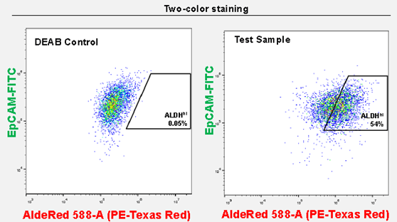 AldeRed™ allows for the co-labeling of CSC populations with FITC-conjugated antibodies AldeRed™ allows for the co-labeling of CSC populations with FITC-conjugated antibodies