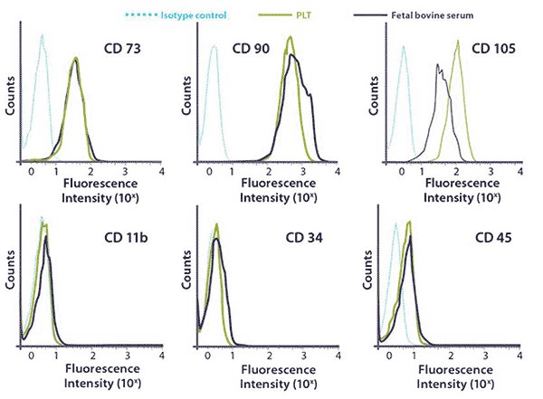 FACS surface marker analysis of hMSCs FACS surface marker analysis of hMSCs