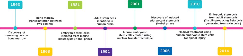 history-of-stem-cell-research Pluripotent and multipotent stem cells