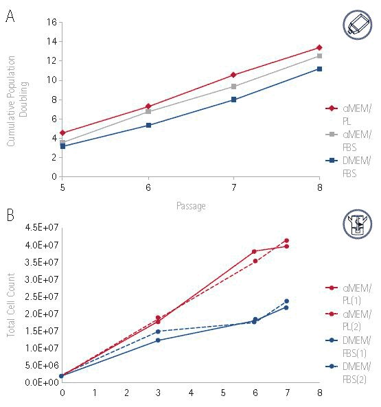 Growth of hMSCs cultured in αMEM supplemented Growth of hMSCs cultured in αMEM supplemented