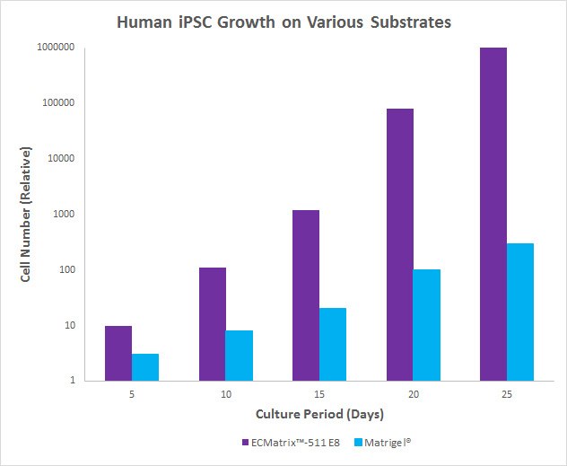 Human iPSC Growth on Various Substrates Human iPSC Growth on Various Substrates