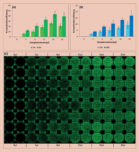 Analysis of transfection efficiency in the automated workflow Analysis of transfection efficiency in the automated workflow
