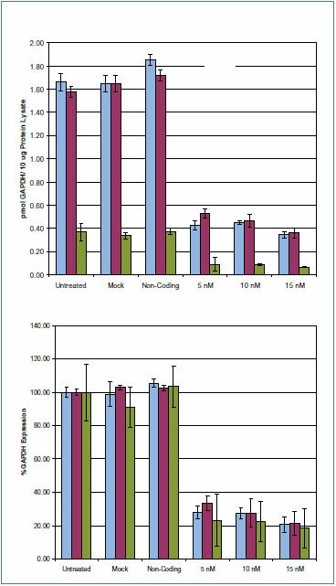 GAPDH protein expression levels from HeLa cell transfections GAPDH protein expression levels from HeLa cell transfections