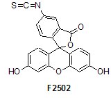 labeling and staining reagents labeling and staining reagents