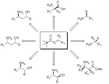 sulfinamides-scheme A chemical diagram depicting a central molecule with a sulfur atom (S) bonded to nitrogen (N) and two functional groups (R1 and R2). Surrounding this central structure are various molecular structures, each featuring different combinations of amine (NH2), hydroxyl (OH), and carbonyl (O) groups, indicating possible reactions or interactions involving the central molecule. Arrows connect the central structure to the surrounding molecules, illustrating their relationships.
