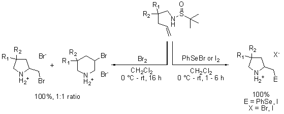 sulfinamides-scheme3 A chemical reaction scheme illustrating the interaction of two brominated compounds featuring nitrogen (N) and various functional groups (R1 and R2). The diagram shows the reactants on the left, indicating a 100% yield in a 1:1 ratio. The central structure includes a sulfur atom (S) bonded to nitrogen and an oxygen (O) group. The reaction conditions specify the use of dichloromethane (CH₂Cl₂) at 0°C for 16 hours, leading to the formation of a new compound on the right, which includes a selenium (Se) or iodine (I) substituent. The diagram notes that the final product also achieves a 100% yield with specific substituents (E and X).