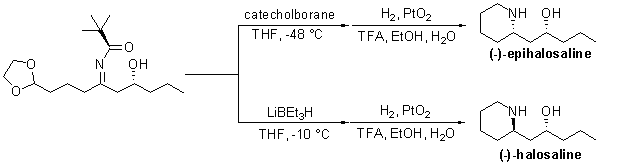 sulfinamides-scheme4 A chemical reaction diagram illustrating the synthesis of two compounds, epihalosaline and halosaline, from a starting molecule featuring a nitrogen (N) atom, hydroxyl (OH) groups, and a carbon chain. The diagram shows the addition of catecholborane under specific conditions (THF at -48°C) and lithium triethylborohydride (LiBEt₃H) at -10°C. The reaction proceeds through two pathways, each involving hydrogenation (H₂) with platinum oxide (PtO₂) and subsequent treatment with trifluoroacetic acid (TFA) in ethanol (EtOH) and water (H₂O). The products, (-)-epihalosaline and (-)-halosaline, are displayed on the right.