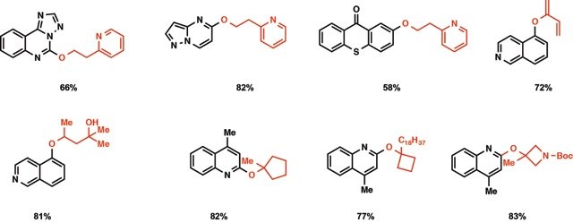 C-O Cross-Coupling of Activated Aryl and Heteroaryl Halides with Aliphatic Alcohols- 30-sub