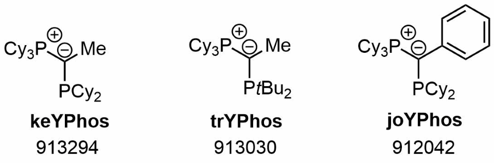 YPhos ligands YPhos is a class of ylide-substituted phosphine ligands.