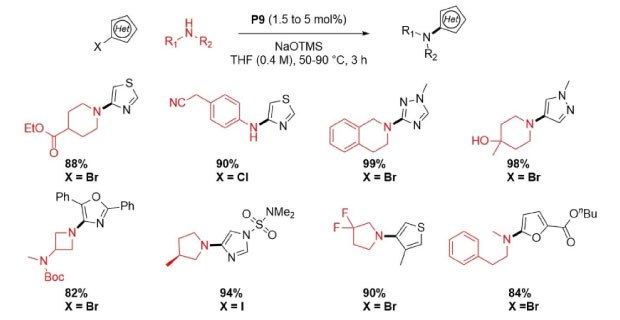 Reaction scheme showing a Buchwald Hartwig amination of  base sensitive five-membered heteroaryl halides and aliphatic amines using P9 precatalyst from Table 1 with different X groups including Br, Cl, and I on different heteroaryl-X Reaction scheme showing a Buchwald Hartwig amination of  base sensitive five-membered heteroaryl halides and aliphatic amines using P9 precatalyst from Table 1 with different X groups including Br, Cl, and I on different heteroaryl-X