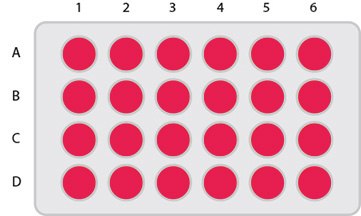 KitAlysis™-CN  24 Well Plate KitAlysis™ C-N Well Plate
