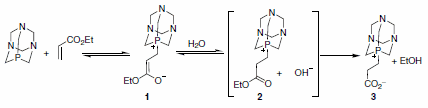 Scheme-4 The authors also presented reasonable evidence implicating the phosphorus-bound Michael adduct 1 by preparation of species 3 via reaction of PTA with ethyl acrylate in THF-H2O
