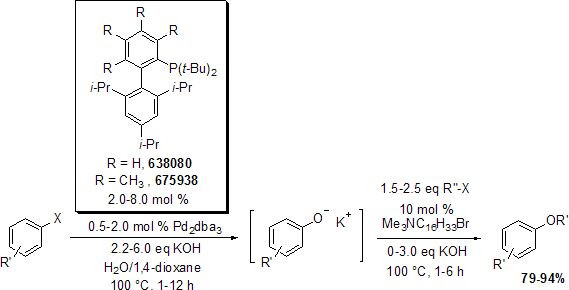 scheme21 Buchwald Phosphine Ligands