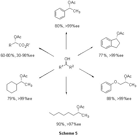 scheme_5k Candida antarcticalipase