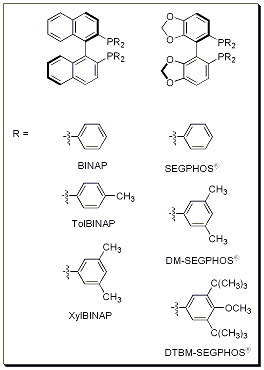 Introduction Structure Image Introduction Structure Image