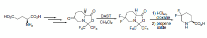 Scheme 5 Scheme 5
