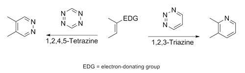 Bioorthogonal conjugation studies Bioorthogonal conjugation studies