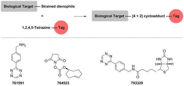 Bioconjugation strategies Bioconjugation strategies