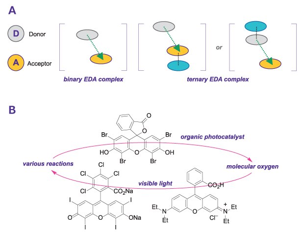 Green approaches for the development of mild, visible-light-mediated reactions An illustration demonstrating two green approaches (a) catalyst free reactions (b) organo-photocatalysis, for the development of mild, visible-light-mediated reactions.